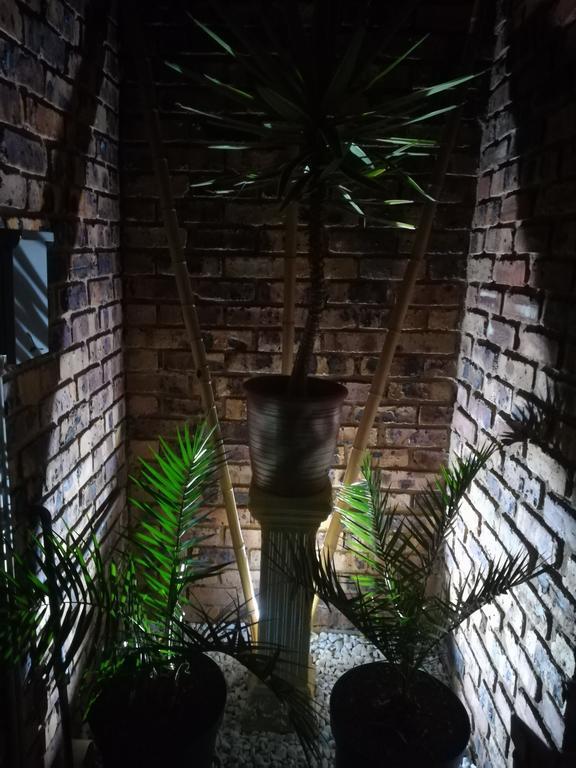 Pride Rock Accommodation Middelburg  Bagian luar foto